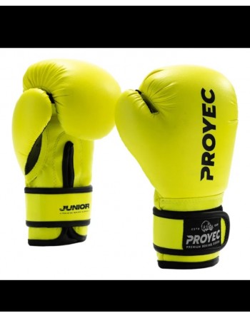 Guante Boxeo  Junior Proyec