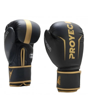 GUANTES DE BOXEO PROYEC